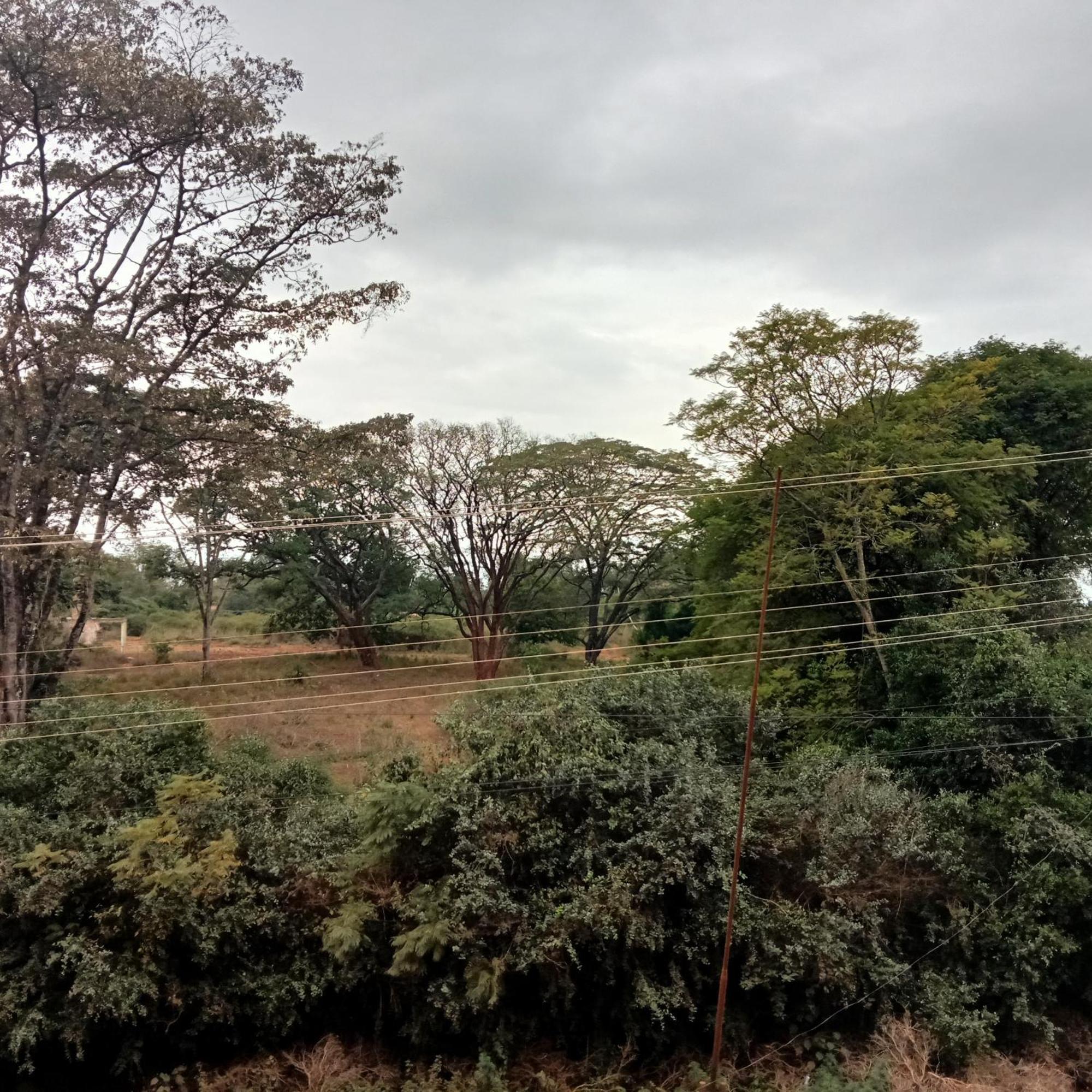 Apartmán Jaymorgan' Cabins. Nyeri Pokoj fotografie